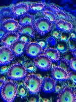 70941323-44D4-4A36-81EA-4AFACC181D87.jpeg