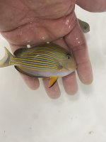 3A23ED75-3062-41B5-BD8F-357F202D6AB6.jpeg
