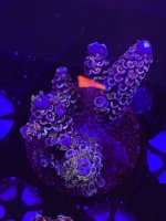82EA151A-5213-4784-AB1E-F2650C441A98.jpeg