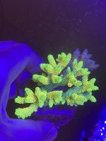 7D5E0862-3766-468F-B1E0-1E9CE4266700.jpeg