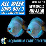 april1discus.jpeg
