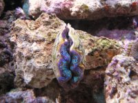 IMG_0562.JPG