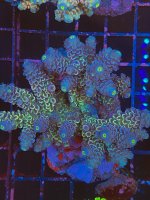 279F13CA-92AA-4AFD-B313-6D6E1E82A85F.jpeg
