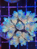 67358879-DDFD-40D1-9817-D27F48F449B4.jpeg