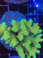 C77C4D26-1E3D-400E-85E4-C36914487C21.jpeg