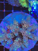 F5D63EFA-7ED3-4ABC-AC65-5A0C21EC051E.jpeg
