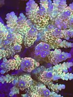 868F1B8D-B31E-4C5F-BFB6-A150C61BC982.jpeg