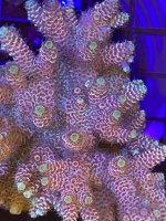 6A040B84-4963-4575-B25C-462C74E87B0C.jpeg