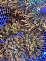 IMG_9545.jpeg