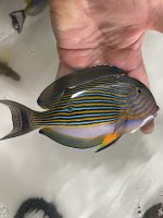 IMG_9882.jpeg