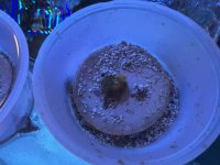IMG_8283.jpeg