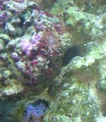 DSC01247.JPG