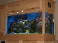 IMG_0039.jpg
