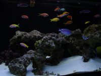 DSC08581.JPG
