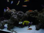 DSC08579.JPG
