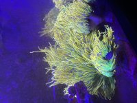 IMG_5846.jpeg