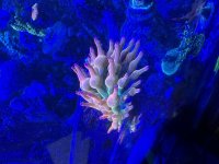 IMG_7677.jpeg
