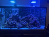 IMG_4437.jpeg