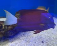 IMG_1613.jpeg