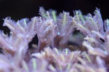 IMG_3789.jpg