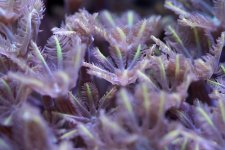 IMG_3790.jpg