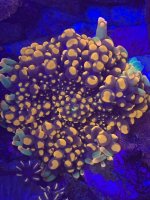 IMG_3570.jpeg