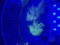 IMG_4615.jpeg