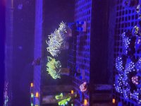 IMG_4614.jpeg
