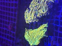 IMG_4612.jpeg