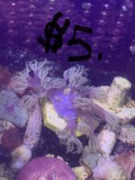 IMG_3782.jpeg