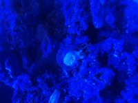 IMG_4691.jpeg