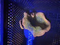 IMG_1055.jpeg