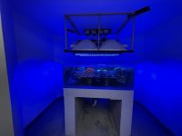 IMG_2469.jpeg