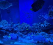 IMG_0237.jpeg