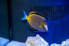 IMG_7717.jpeg