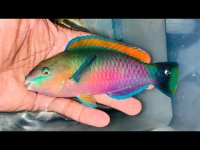 IMG_4025.jpeg