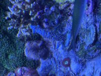 IMG_2090.jpeg