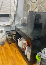 IMG_8491.jpeg