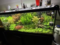 IMG_6751.jpeg
