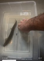 IMG_1172.jpeg