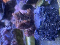 IMG_1483.jpeg