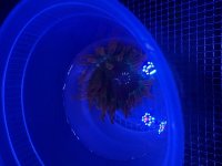 IMG_0814.jpeg