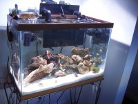 100_1027.jpg