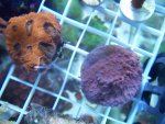 100_1379.jpg