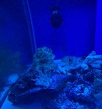 IMG_1264.jpeg