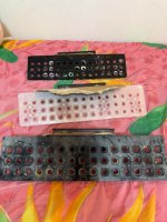 IMG_1591.jpeg