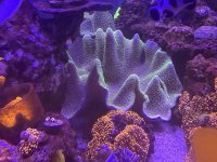 IMG_7642.jpeg