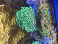 IMG_1715.jpeg