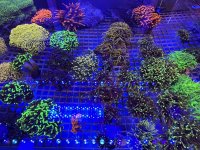 IMG_2282.jpeg