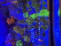 IMG_2279.jpeg